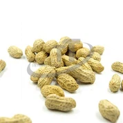 Nourriture pour oiseaux cacahuète