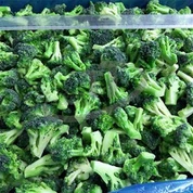 Broccoli congelé