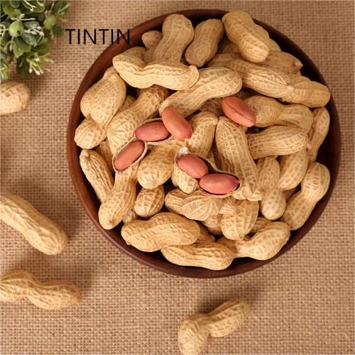 Arachide en coque 100 % naturelle de haute qualité