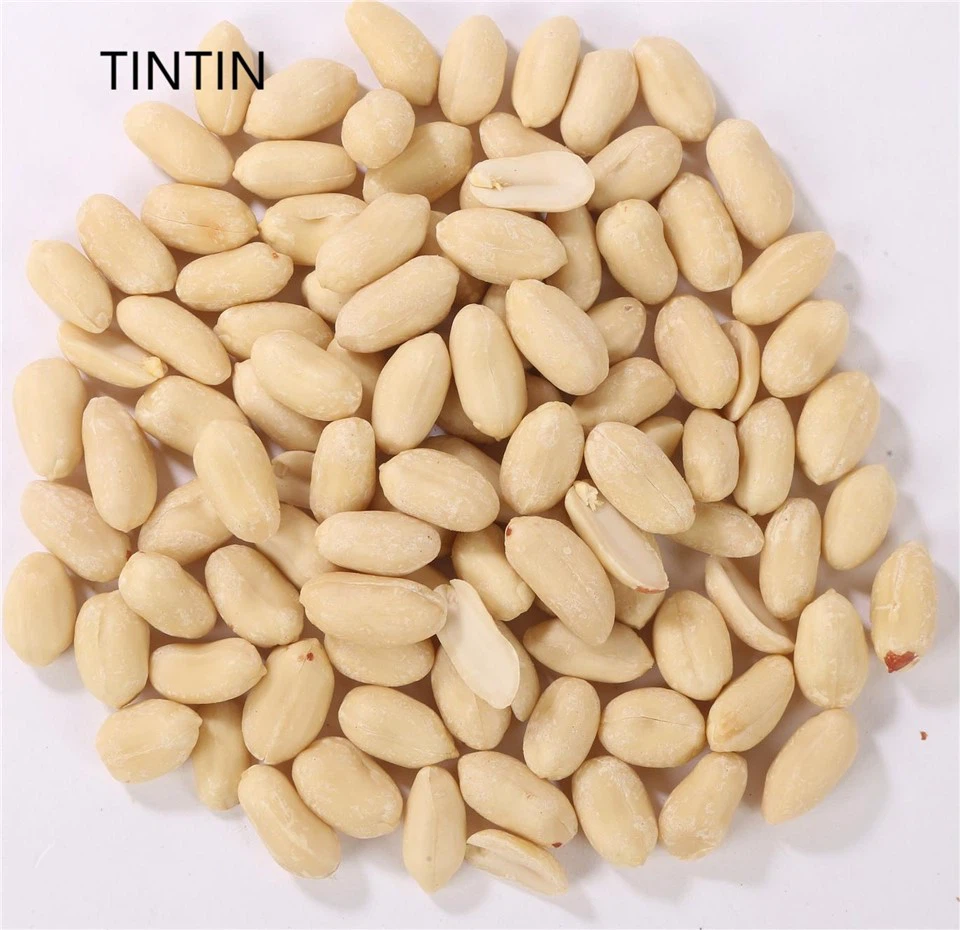 Grains d'arachides blanchis de qualité exceptionnelle, sains et 100 % naturels