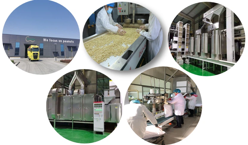 QQ20250617-100214.png QQ20250617-100214.png