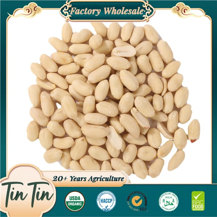 Grains d'arachides blanchis sains