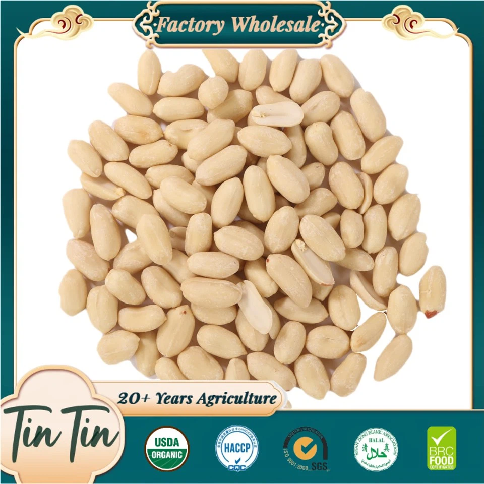 Blanched Blanched Peachut Kernels 2024 Nouvelle Crop