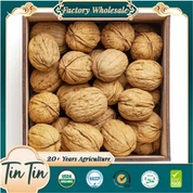 Noix de bonne qualité dans la coquille