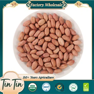 Grains d'arachides de nouvelle récolte de haute qualité