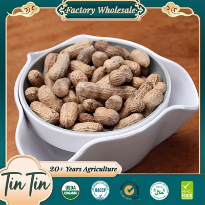 Cacahuètes en coque de qualité supérieure pour une vie meilleure
