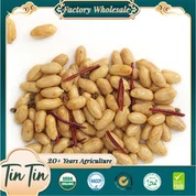 Cacahuètes chinoises épicées en conserve, croustillantes et nutritives, de qualité exceptionnelle